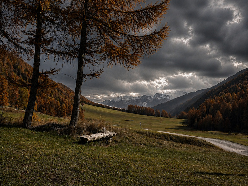 Herbstliche Lärchen in einem Südtiroler Tal